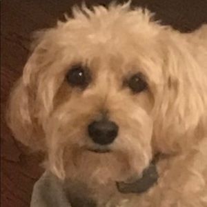 Meet your Posher, Kendra mullen